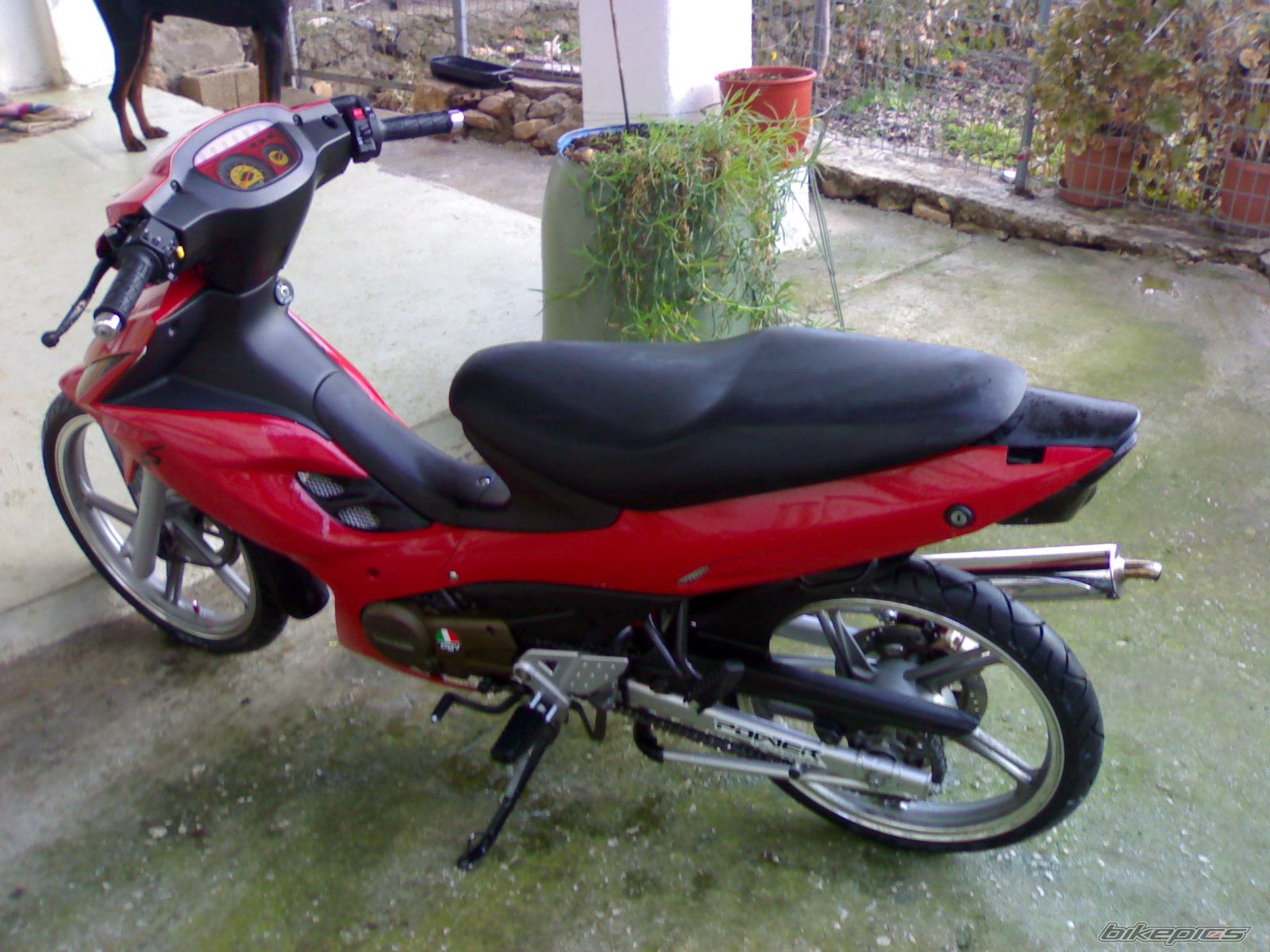 Photo 1145418