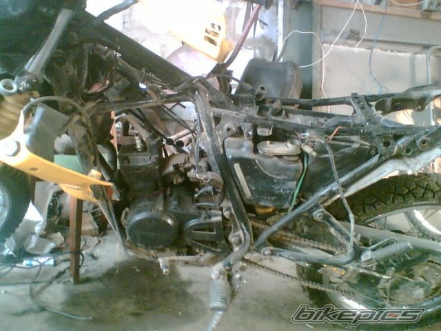 Photo 1145474