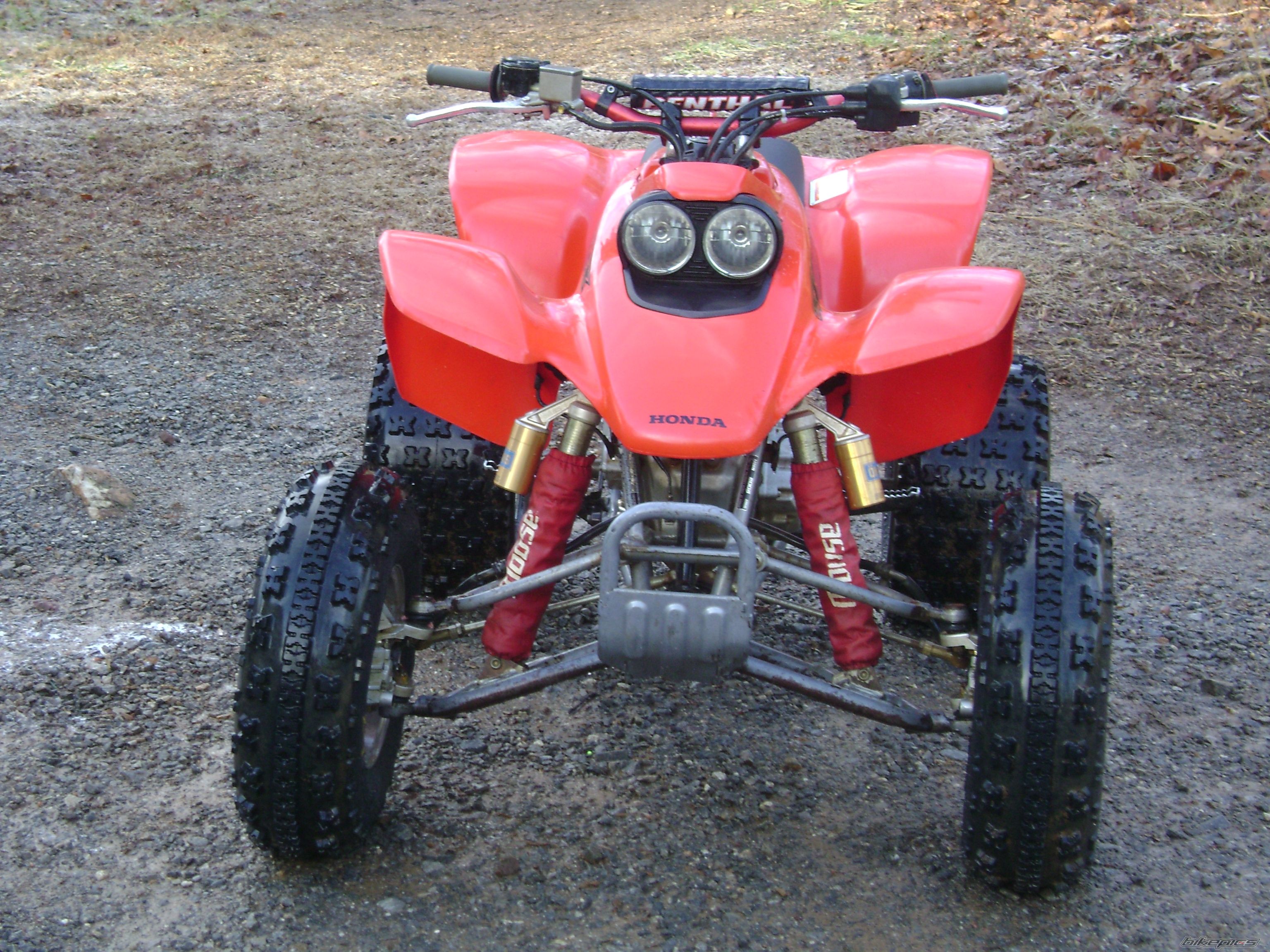 Photo 1145572