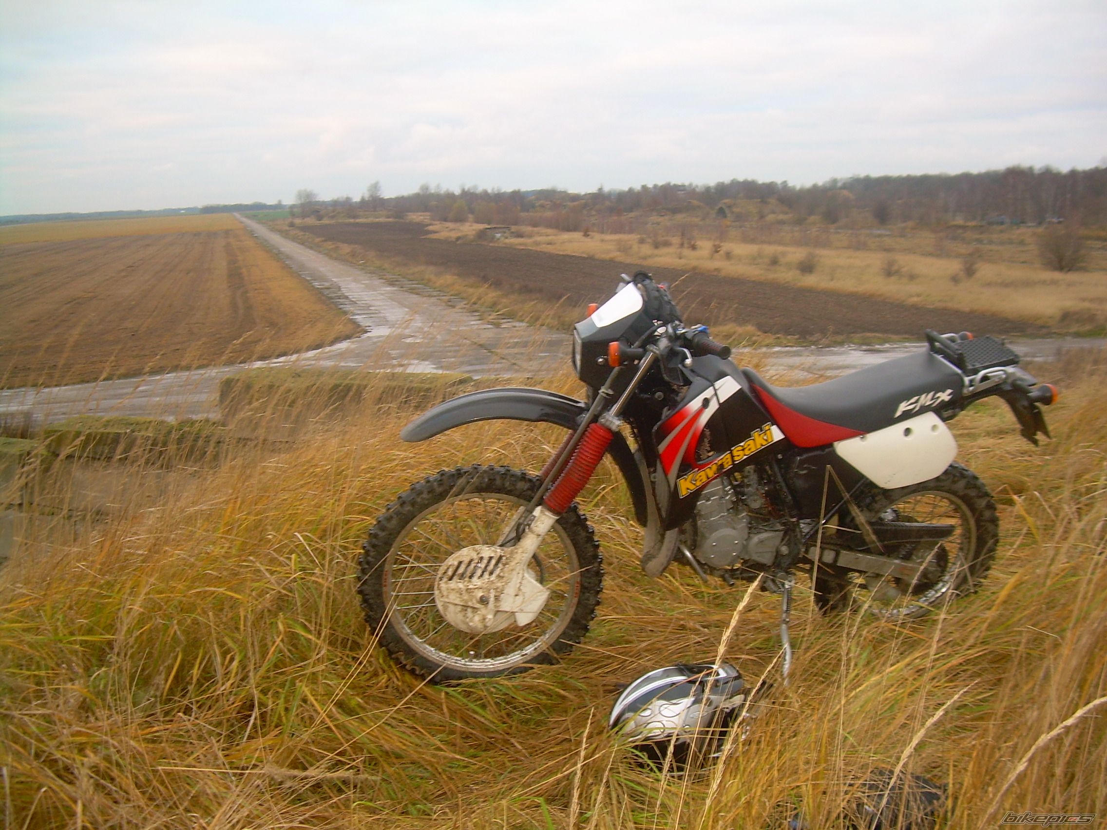 Photo 1145646