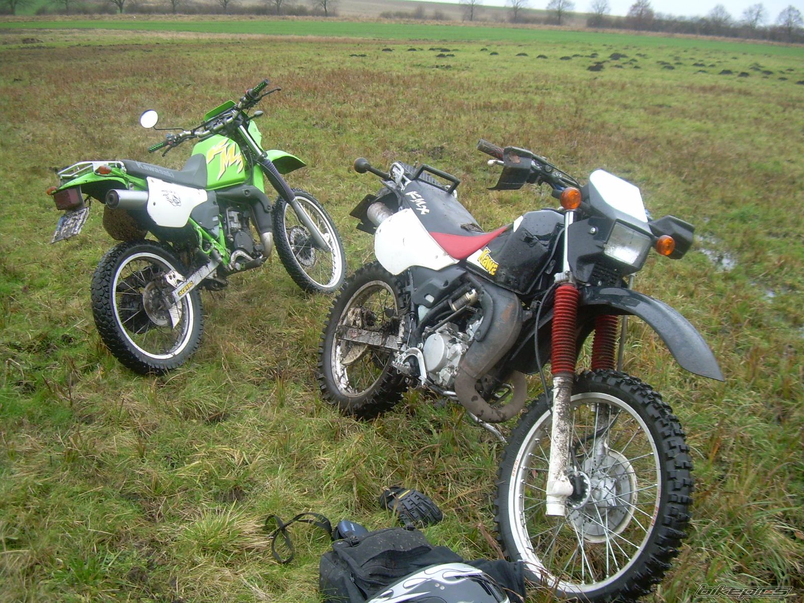 Photo 1145648