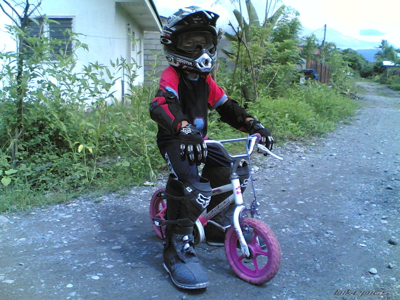 Photo 1145859