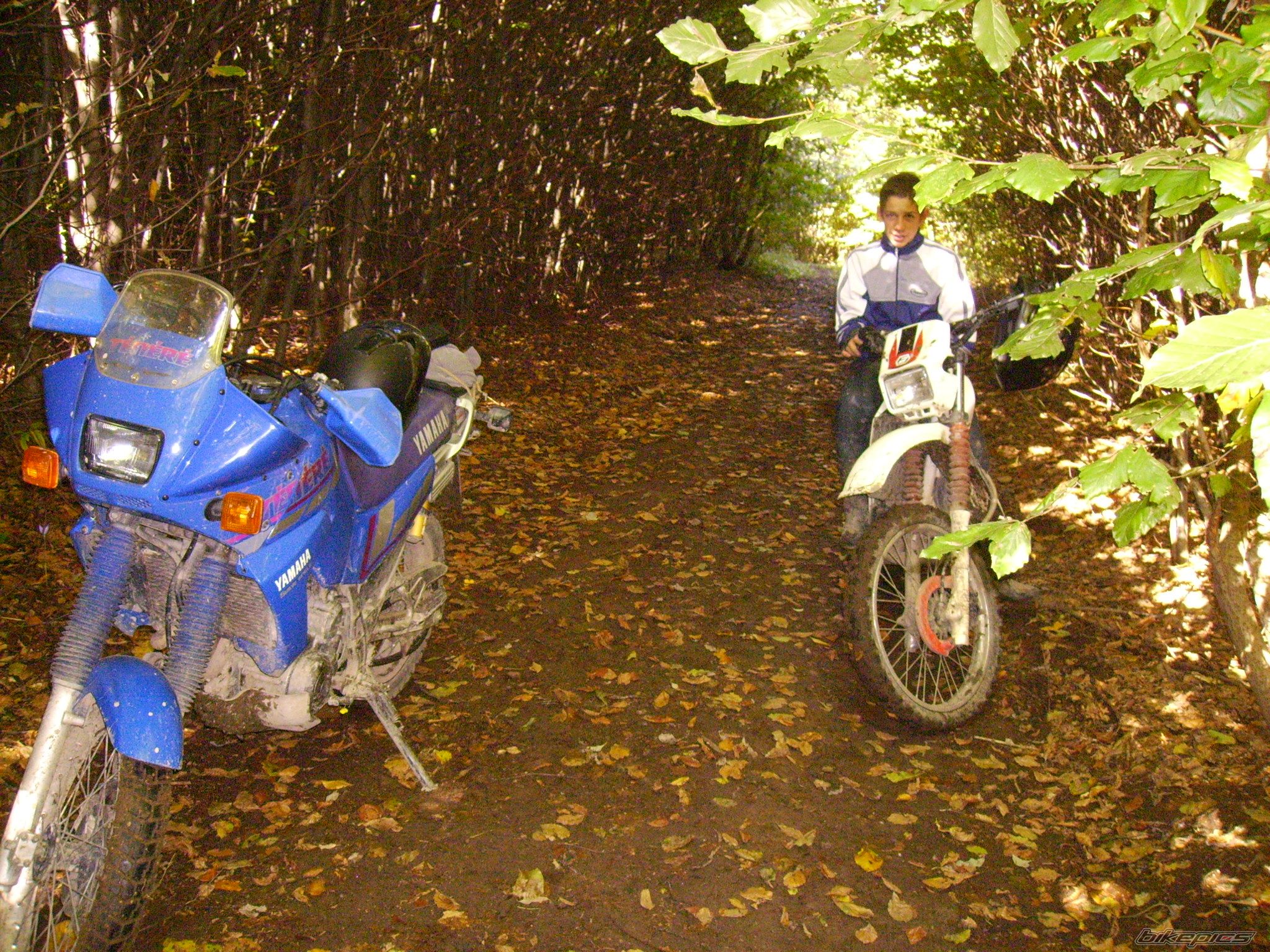 Photo 1145984