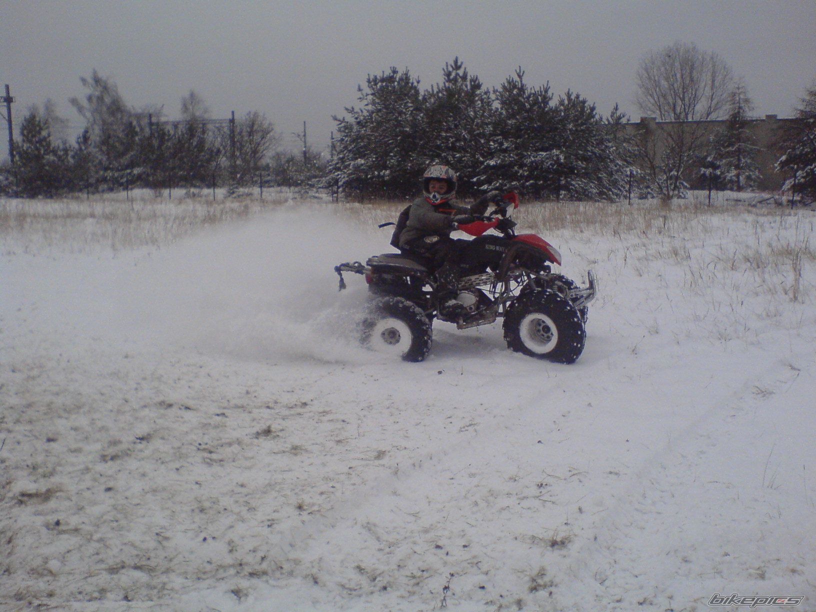 Photo 1146055