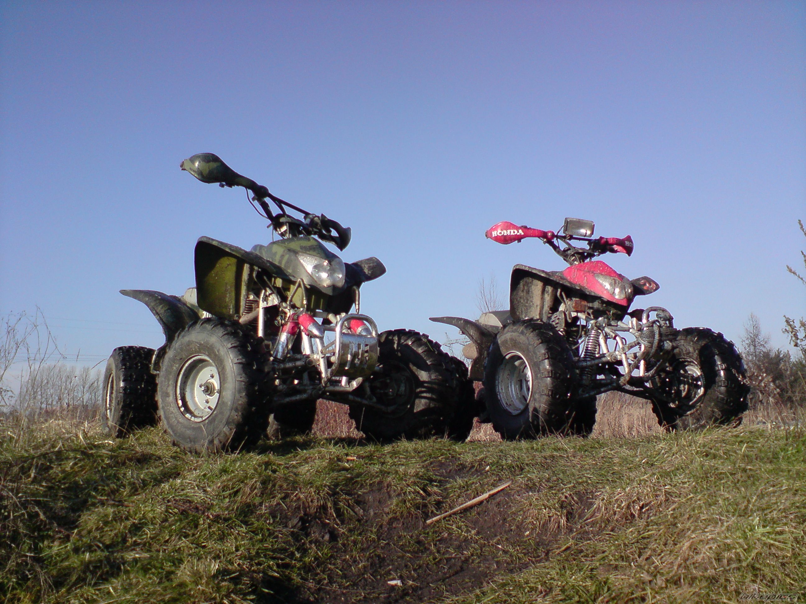 Photo 1146062