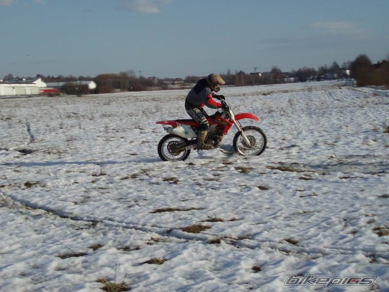 Photo 1146106