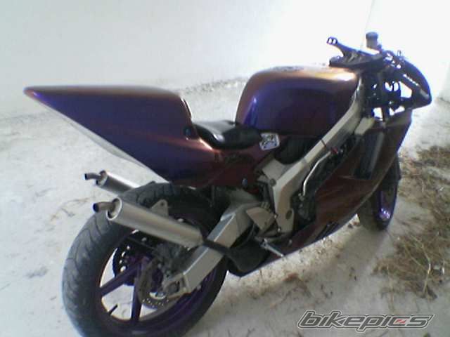 Photo 1146191