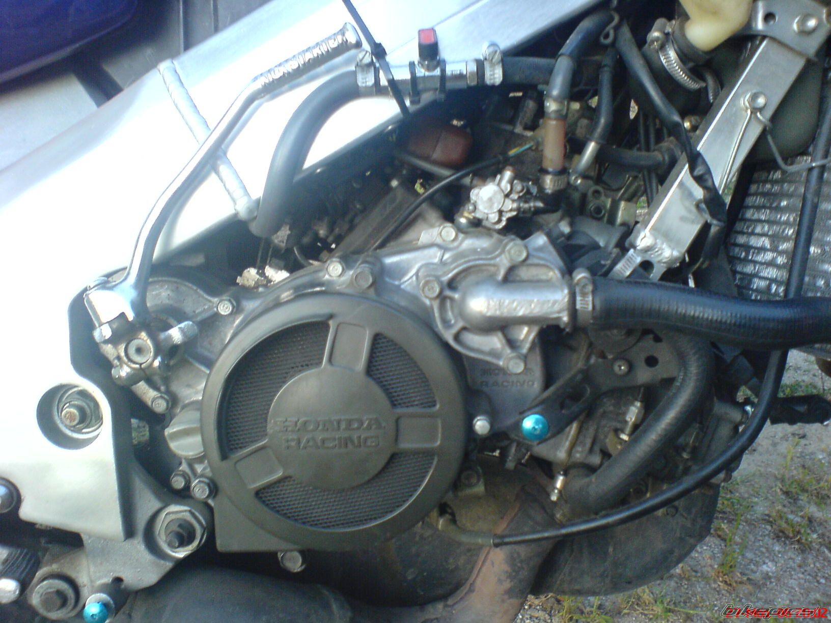Photo 1146198
