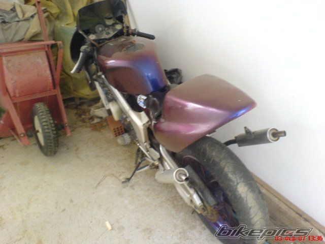 Photo 1146209