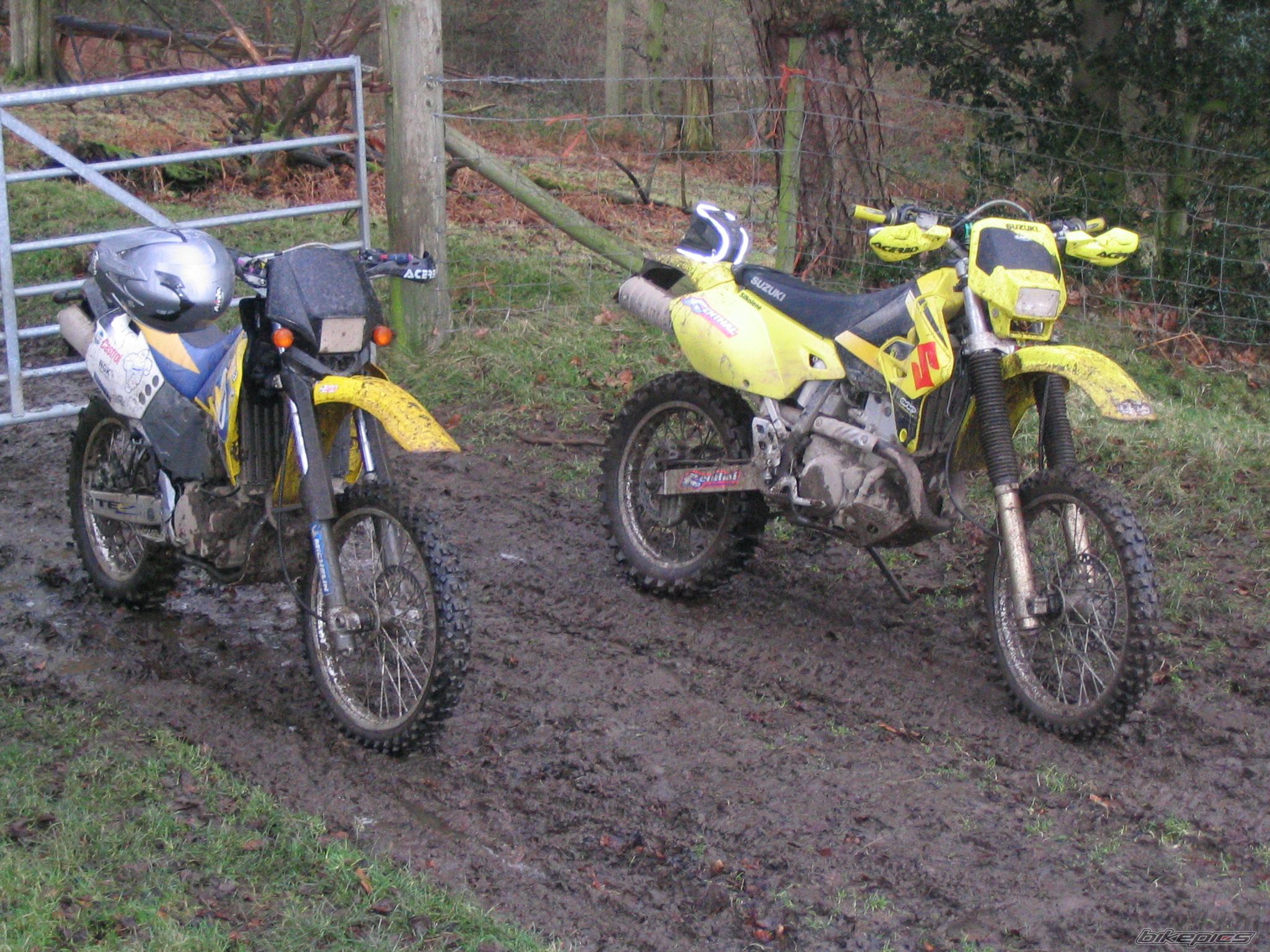 Bike Photo 1146348