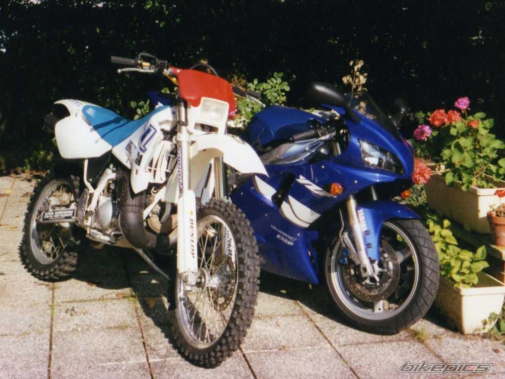 Bike Photo 1146404
