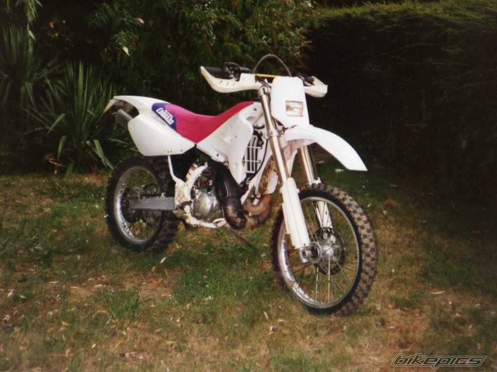 Photo 1146406