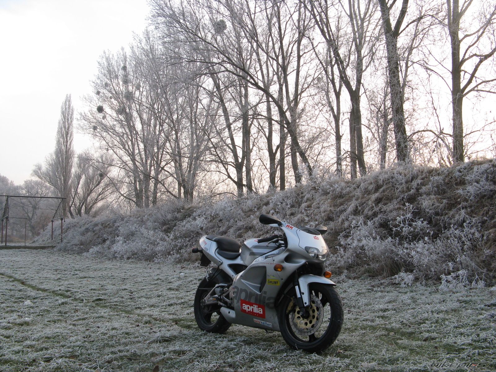 Bike Photo 1146500