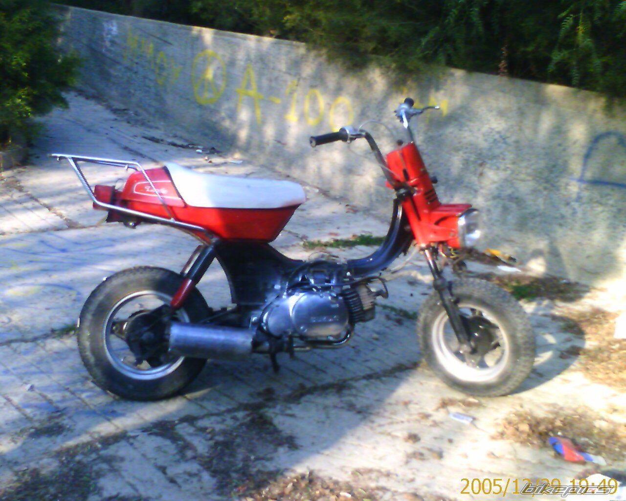 Photo 1146538