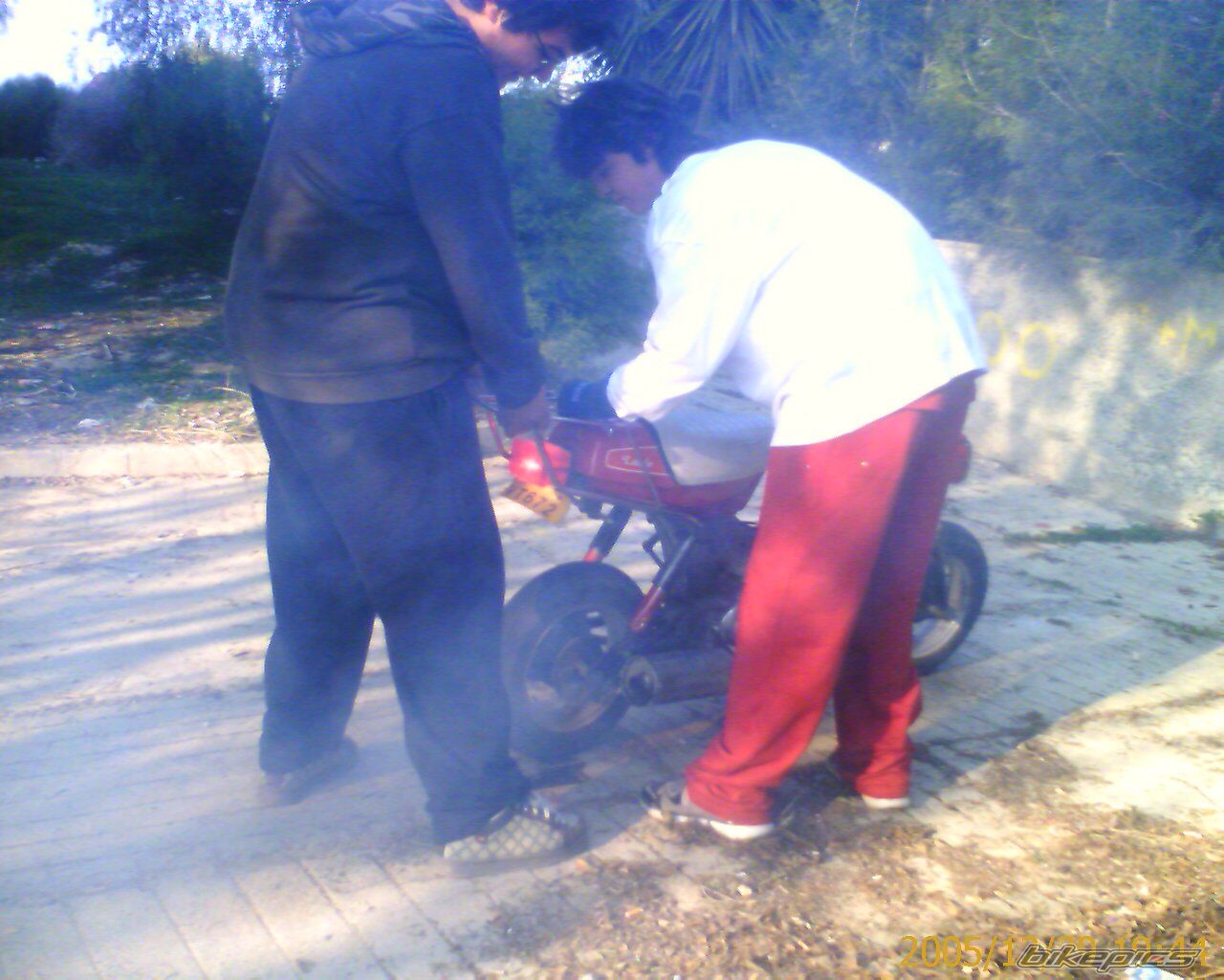 Photo 1146539