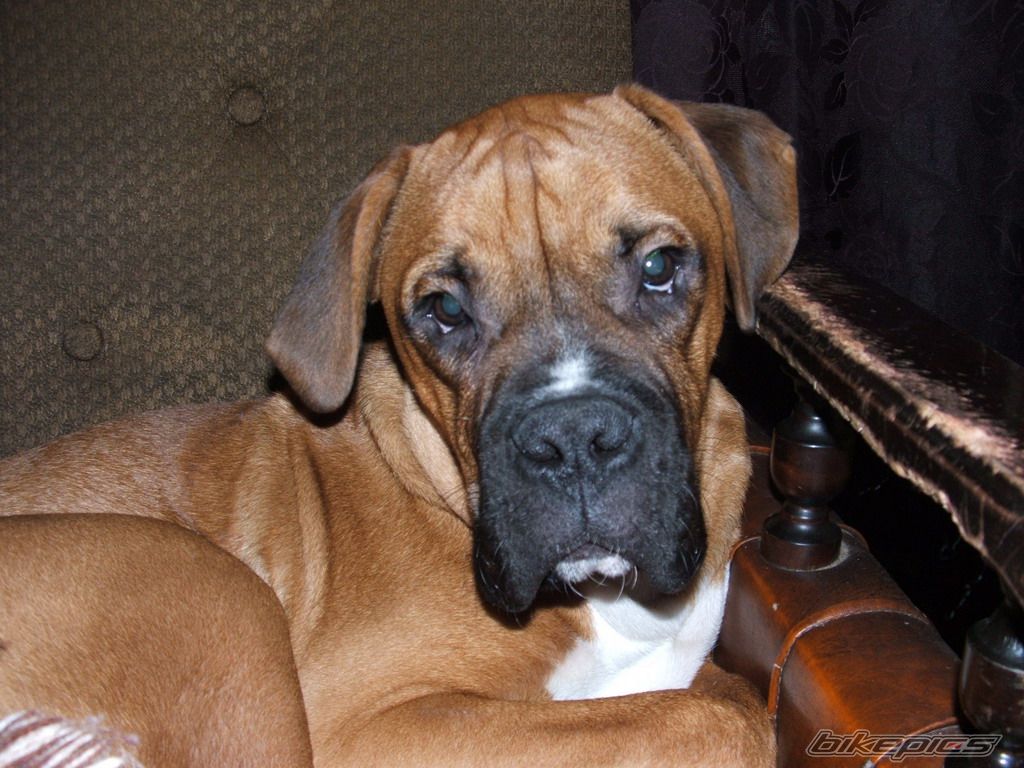 Photo 1146578