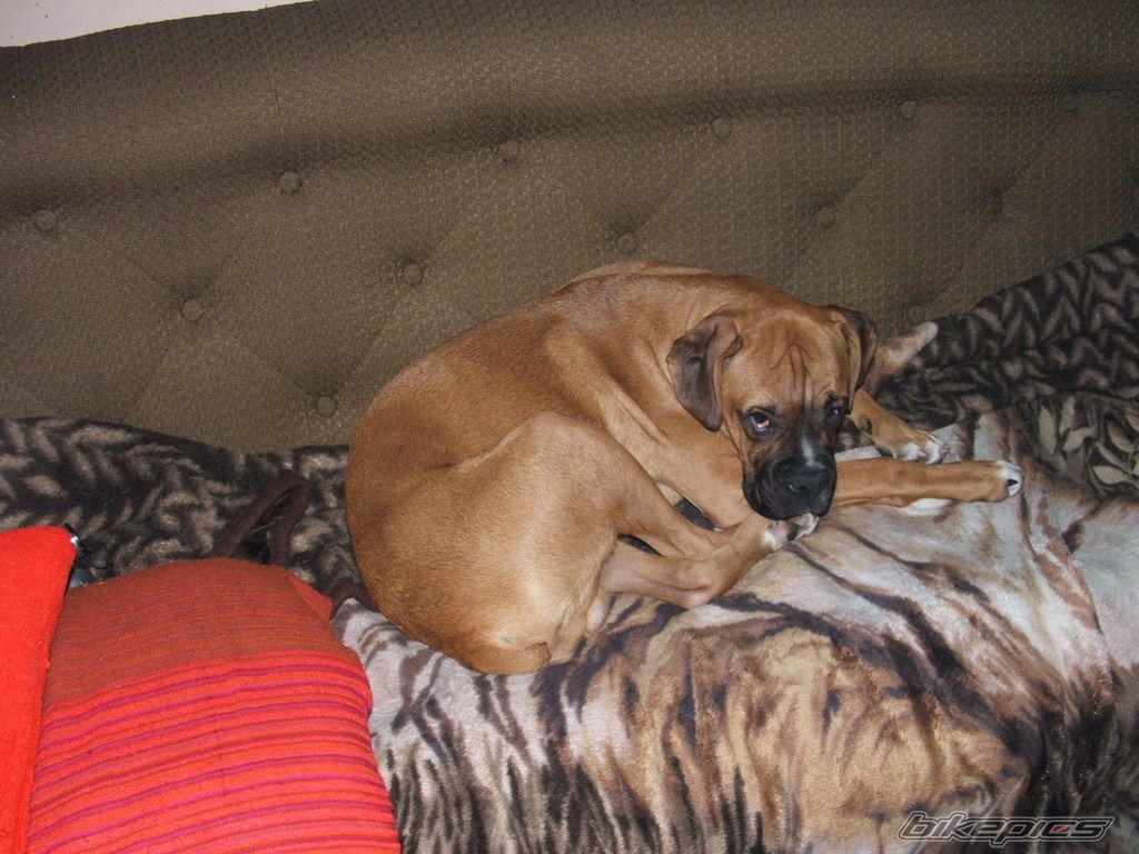 Photo 1146581