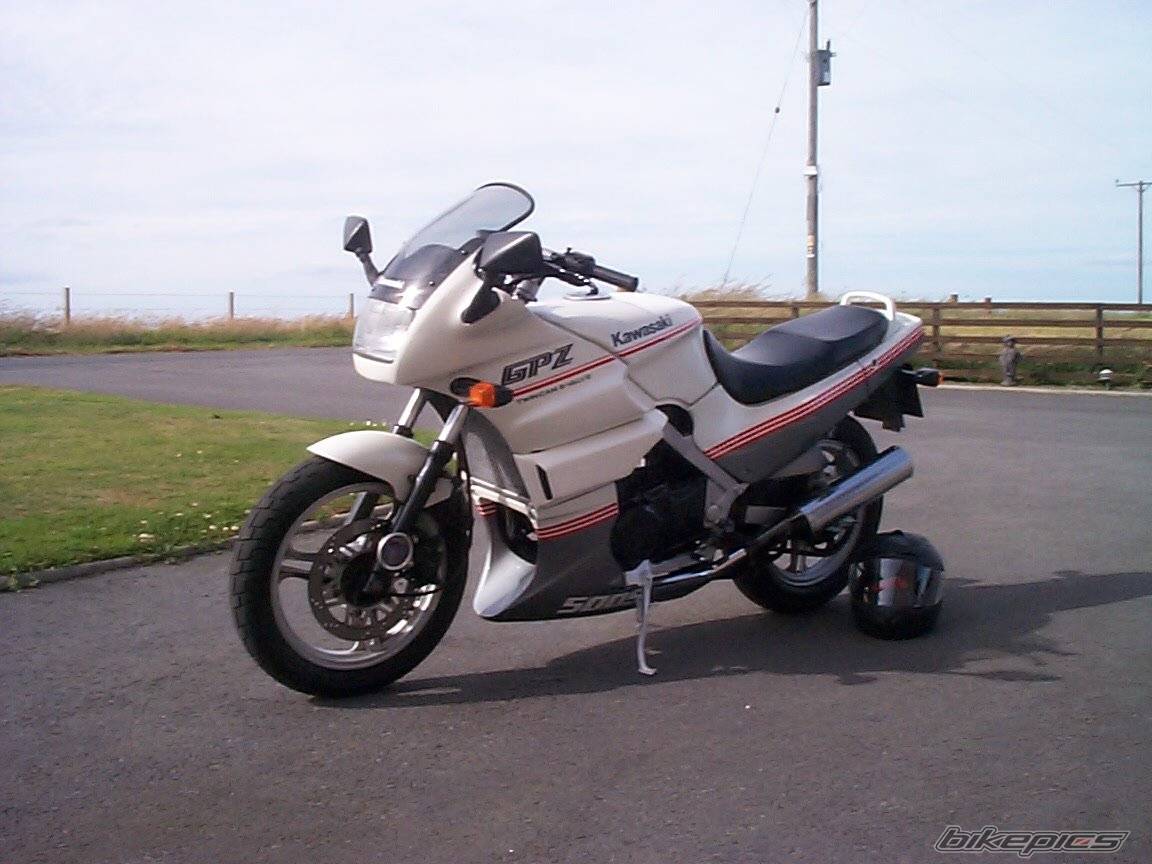 Photo 11466