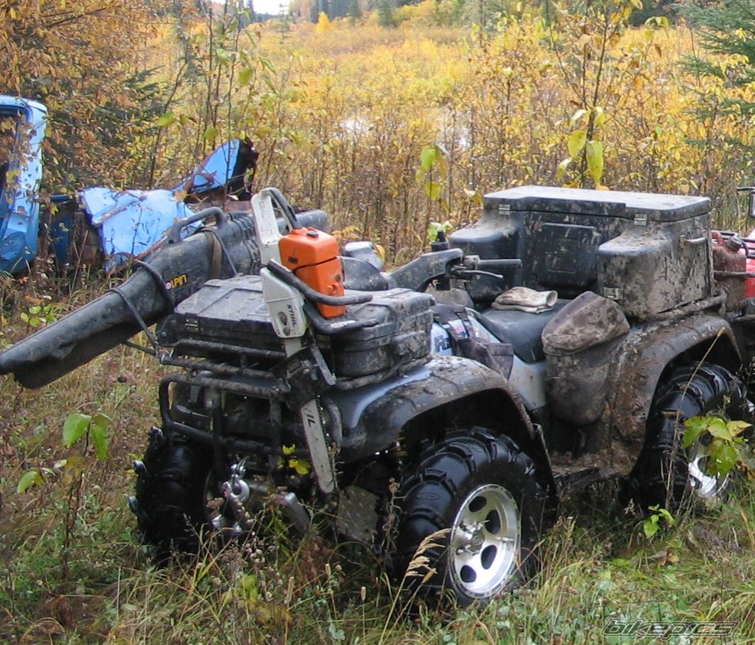 Photo 1146636