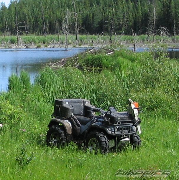 Photo 1146640