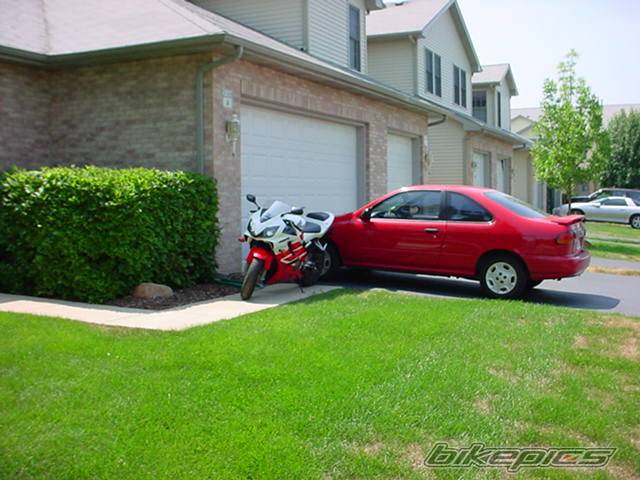 Photo 11467