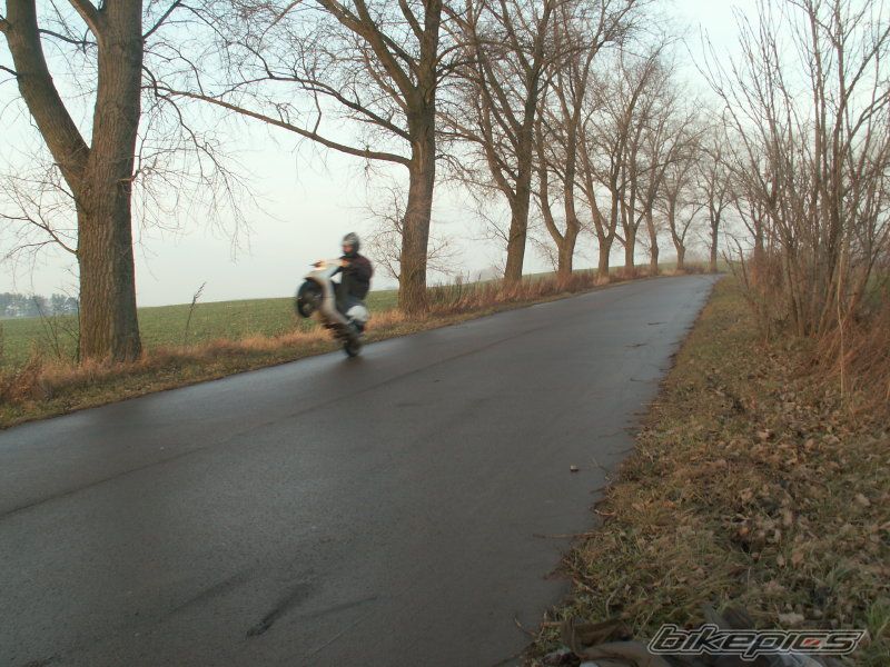 Photo 1146703
