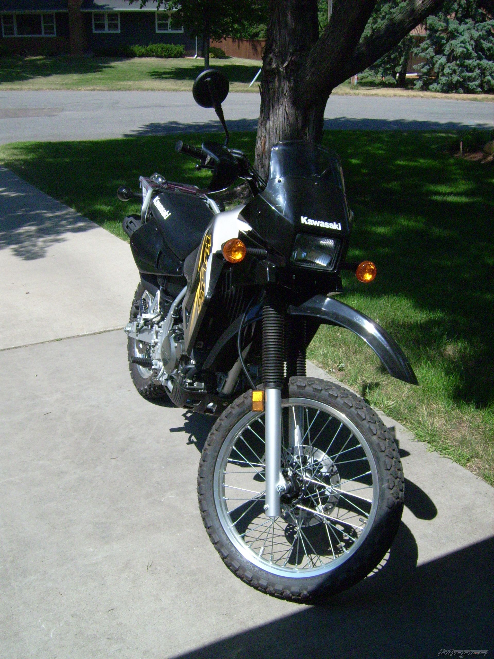 Photo 1146719