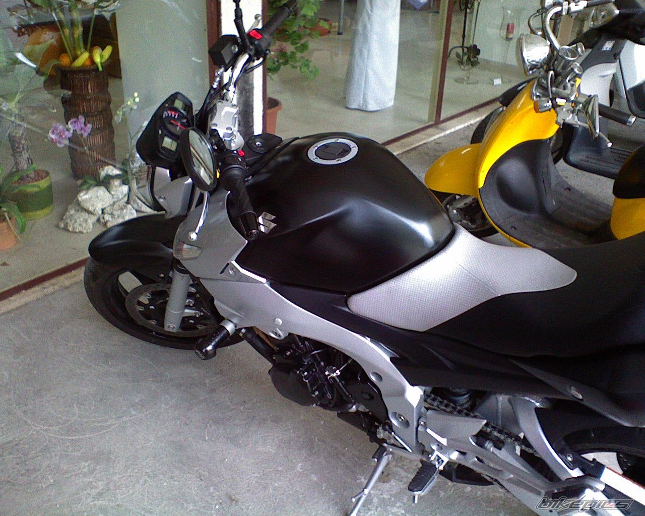 Photo 1146779