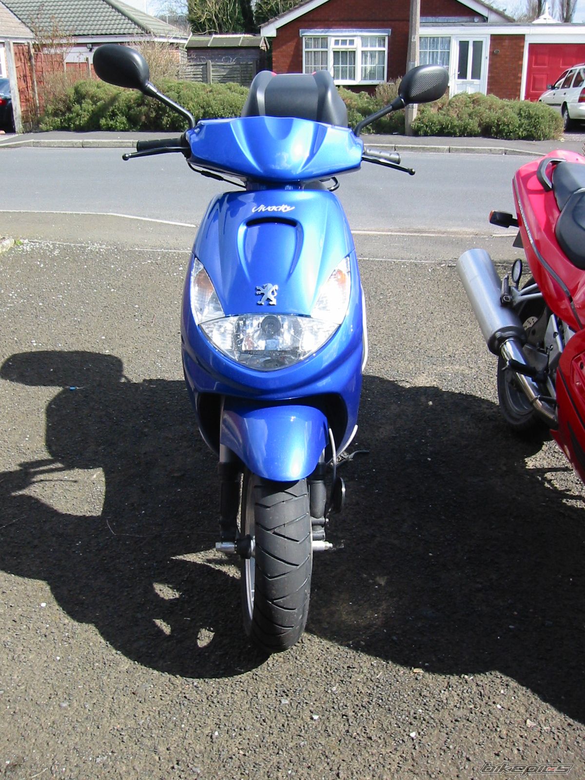 Photo 1146829