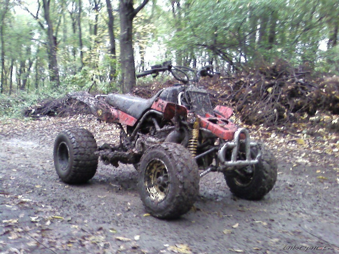Photo 1147039
