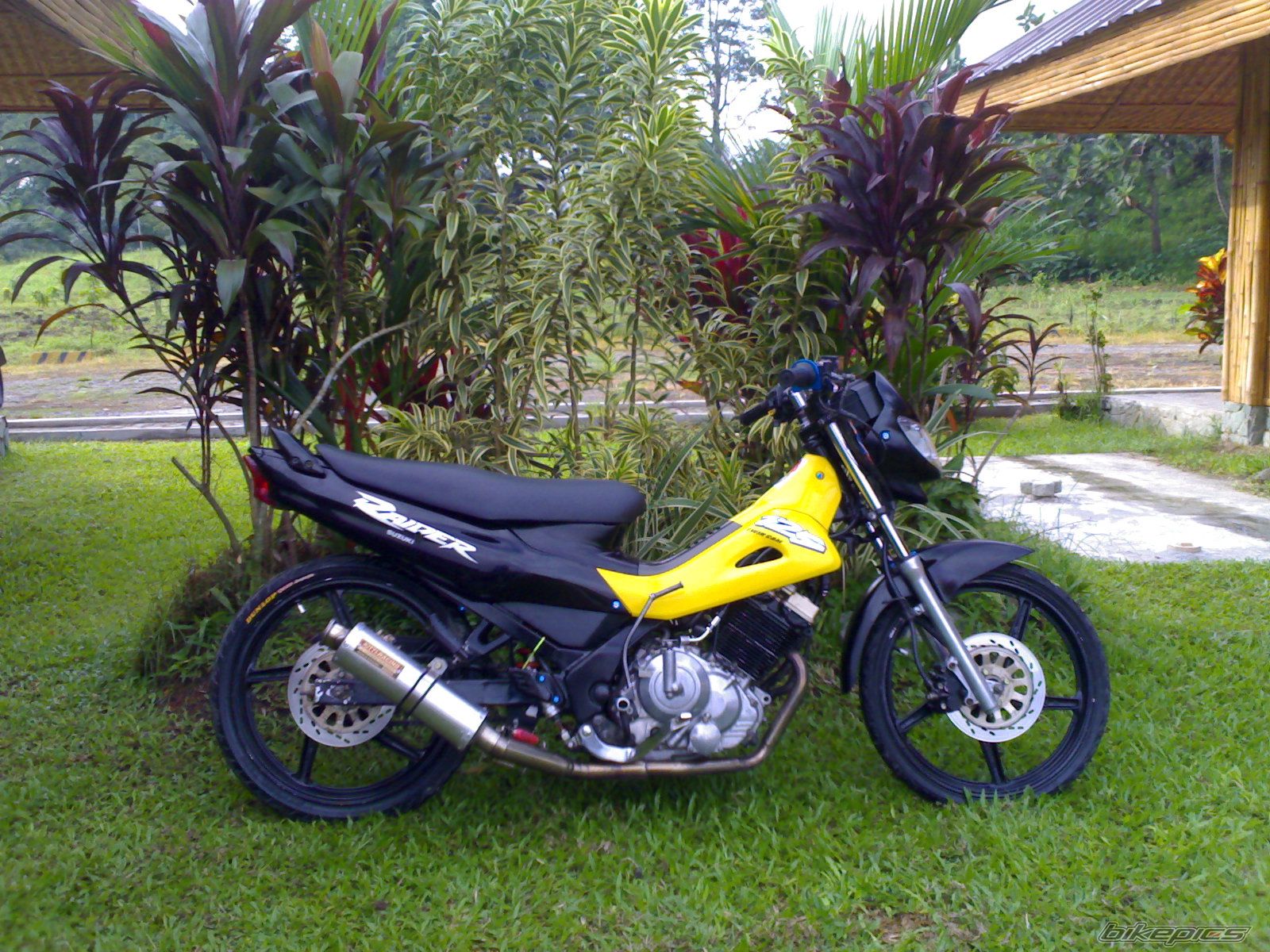 Photo 1147062