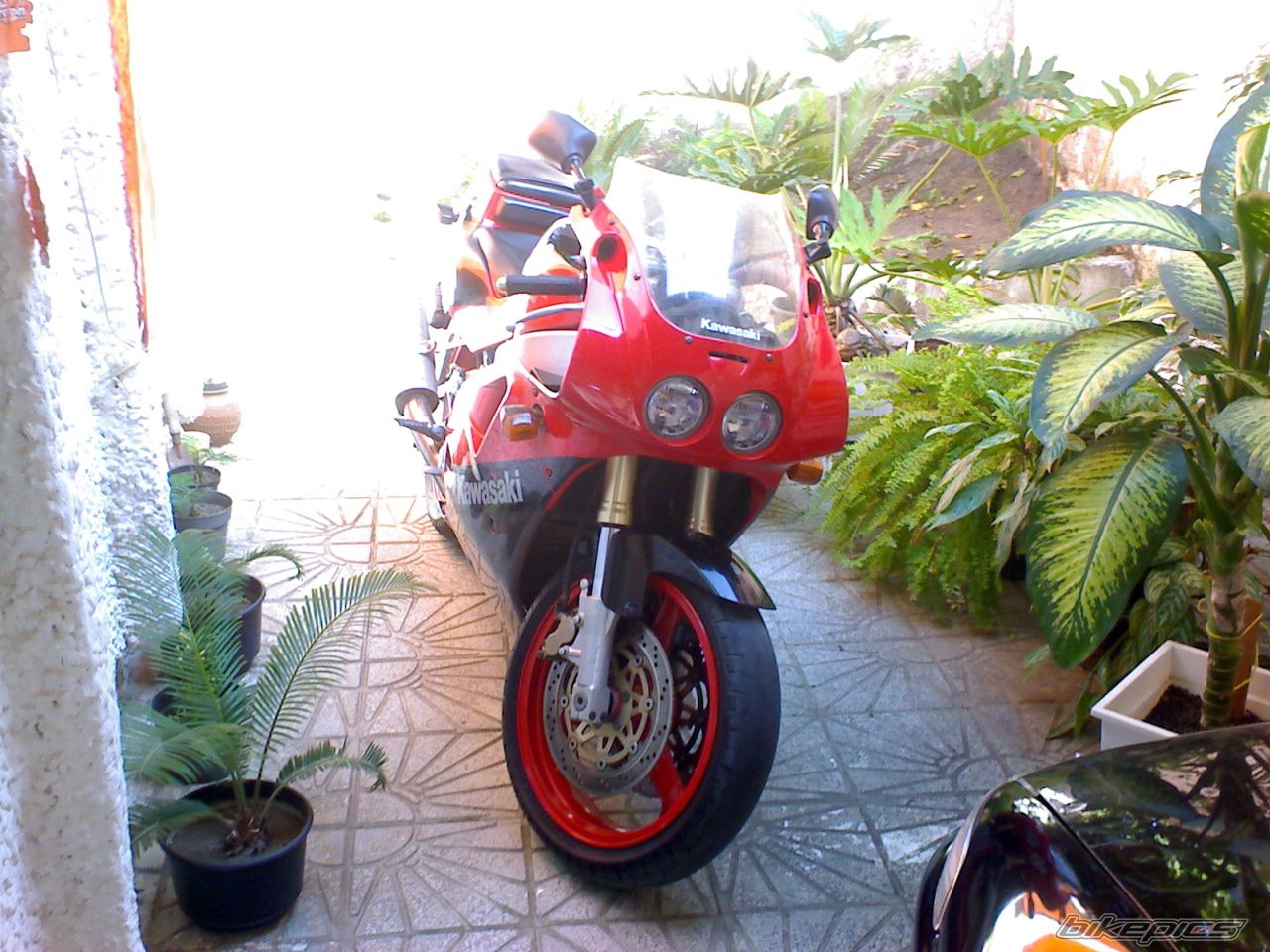 Photo 1147127