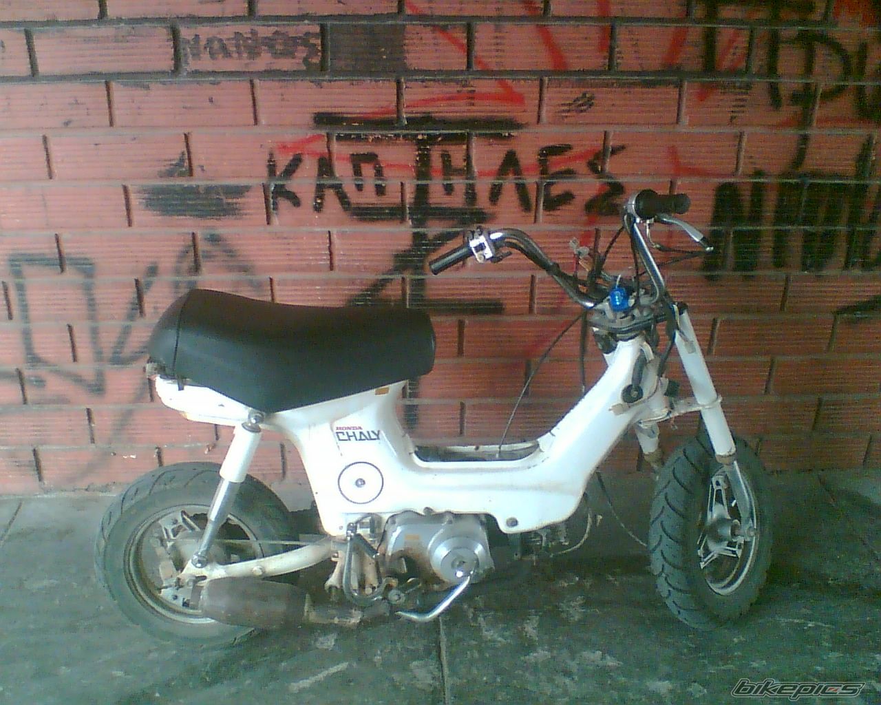 Photo 1147276