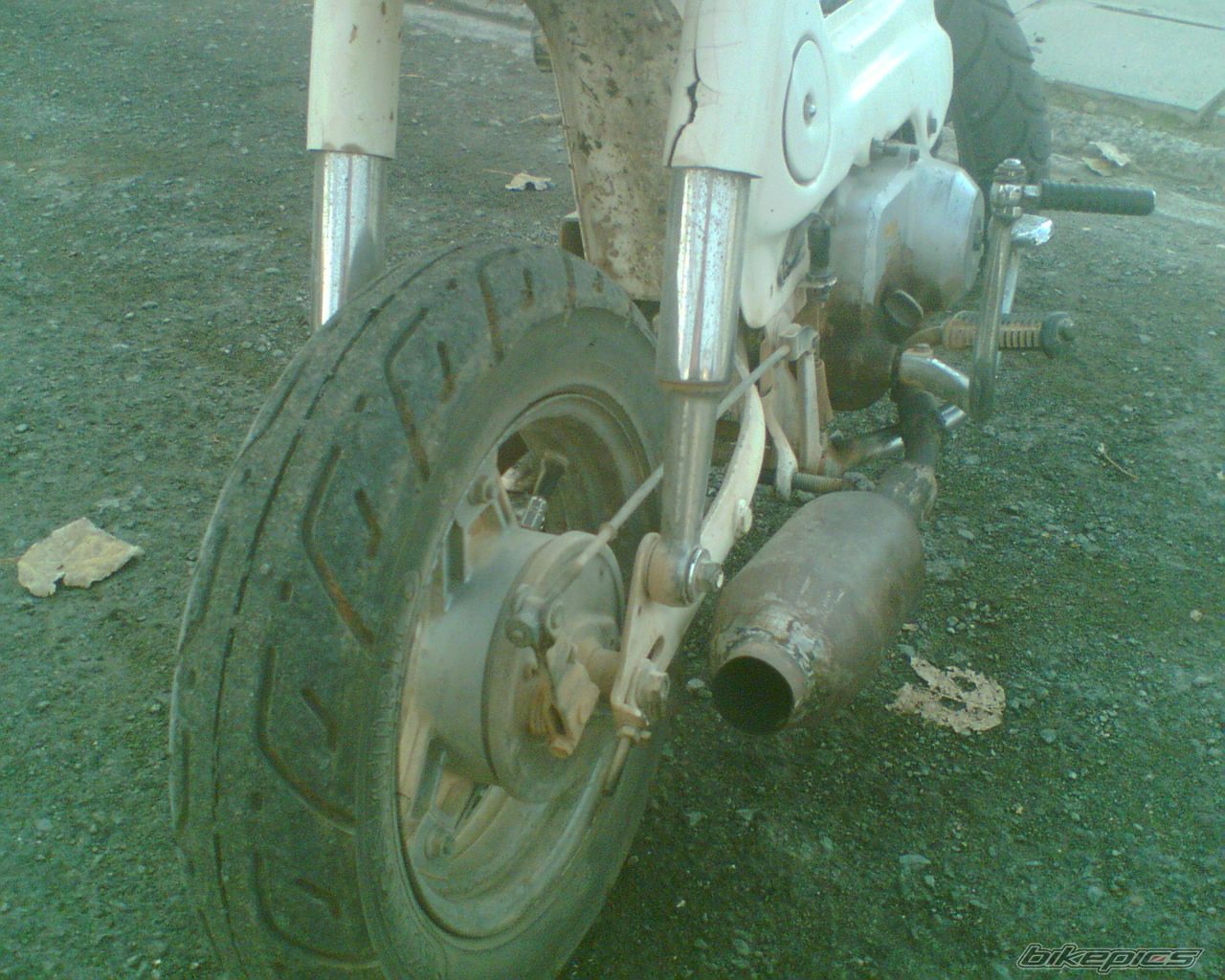 Photo 1147279