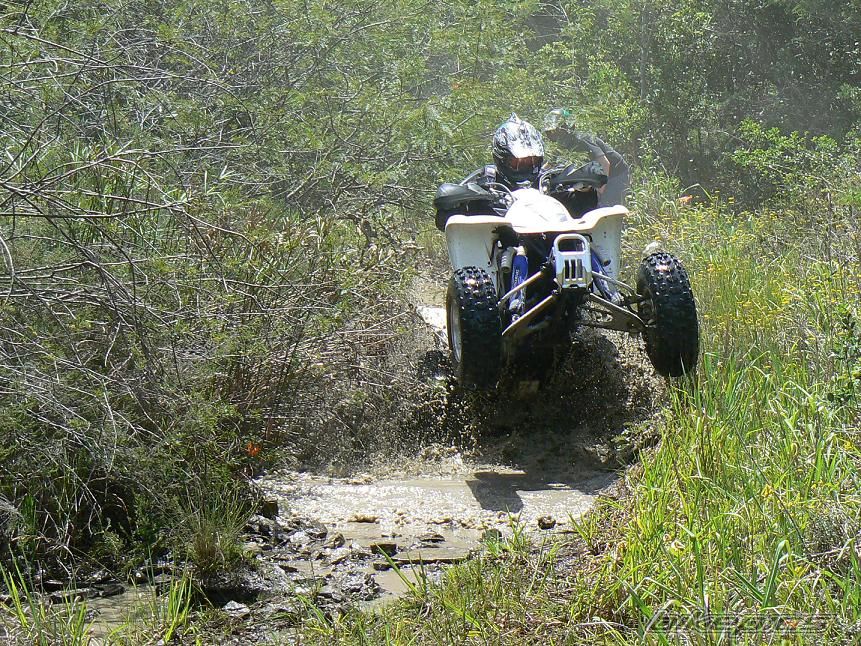 Photo 1147303