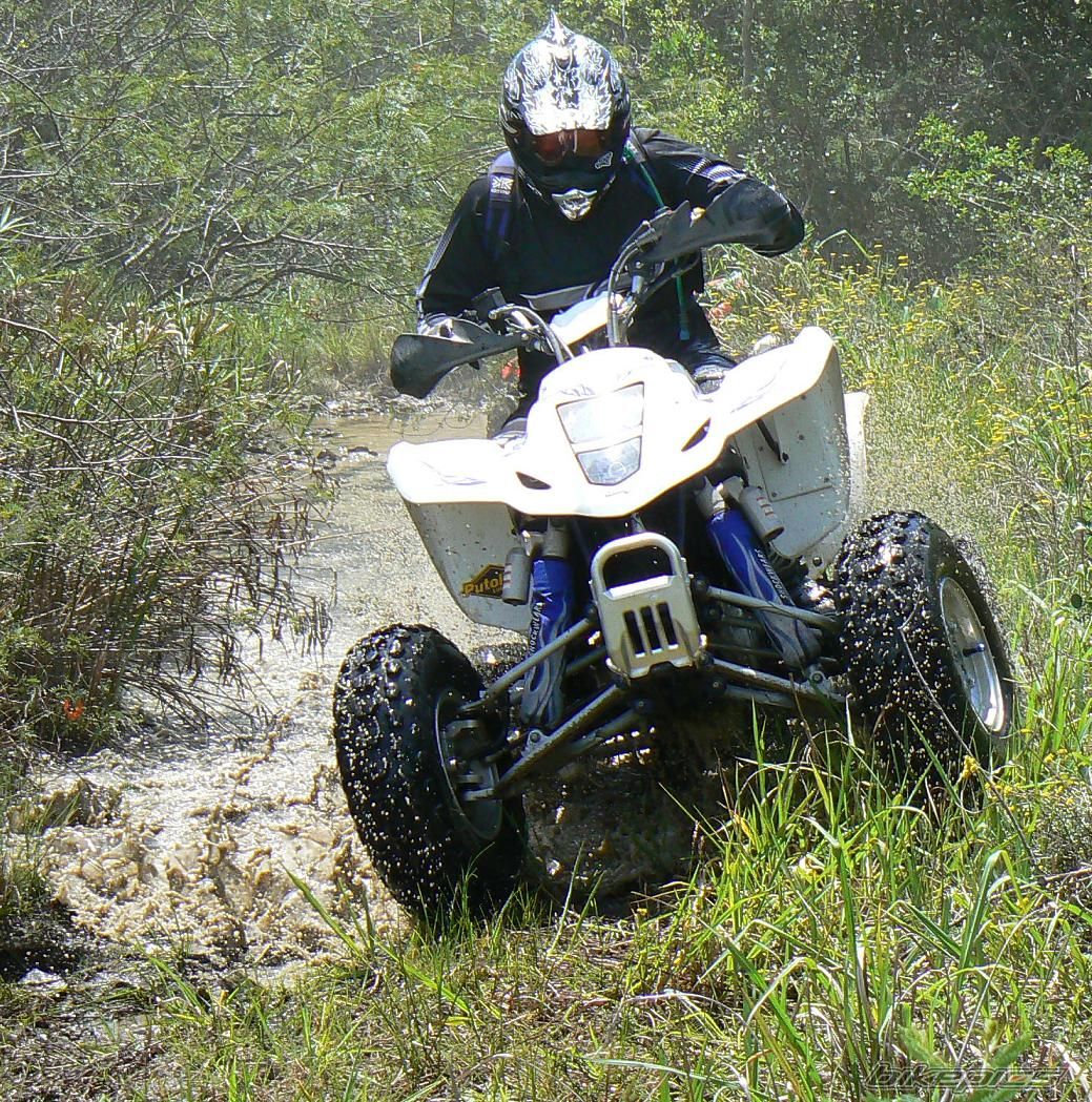 Photo 1147306