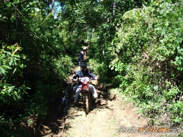 Photo 1147333