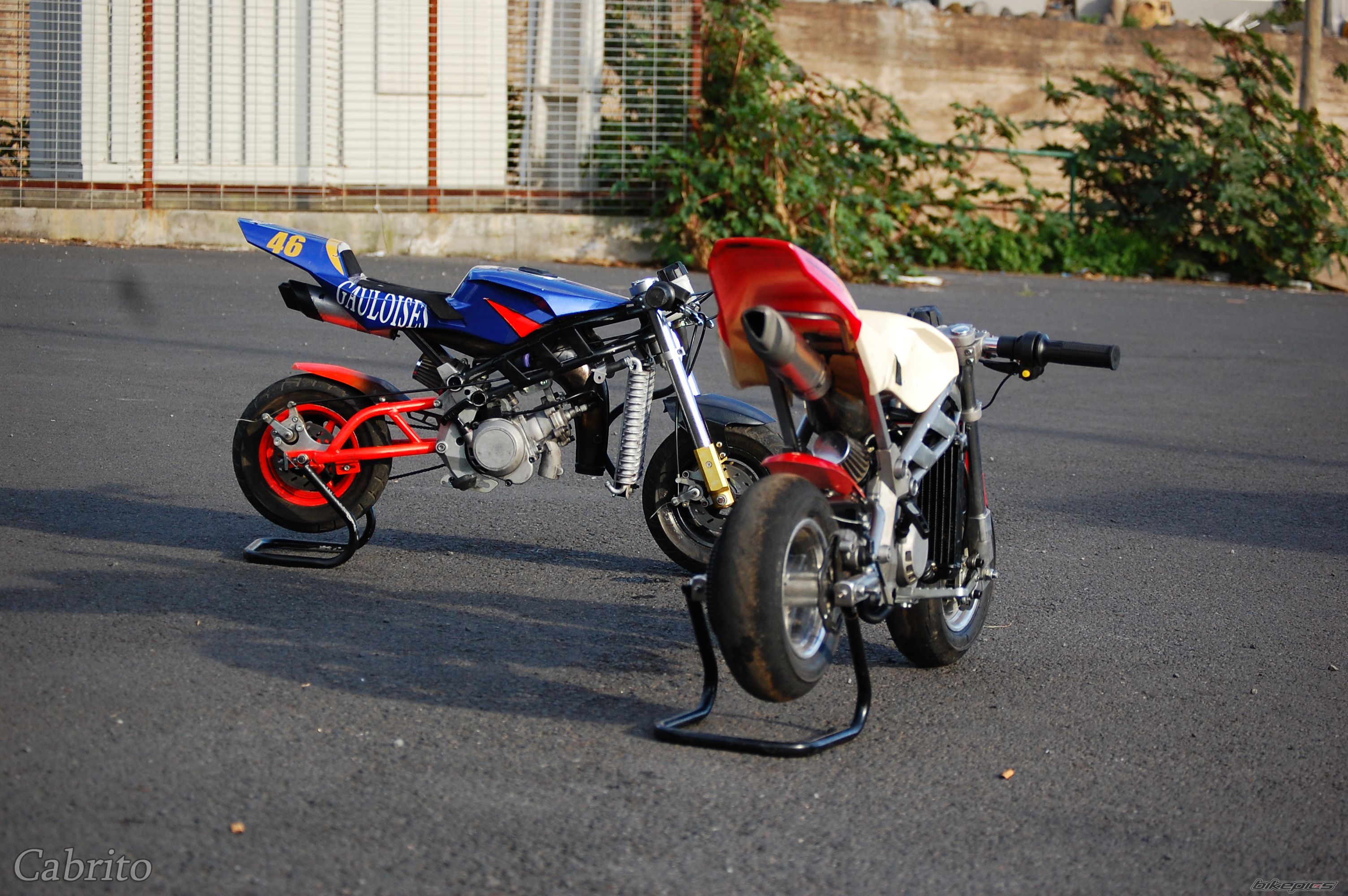 Photo 1147353