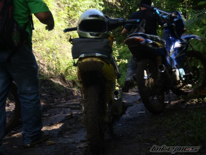 Photo 1147438