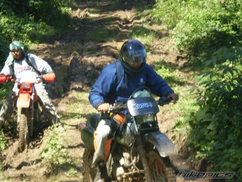 Photo 1147441
