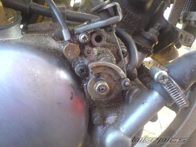 Photo 1147488