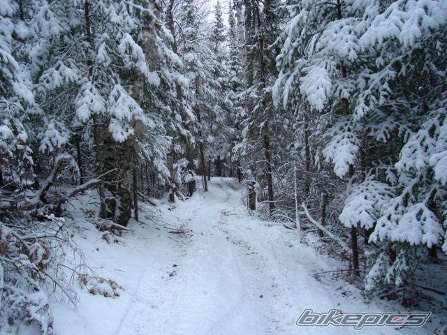 Bike Photo 1147520