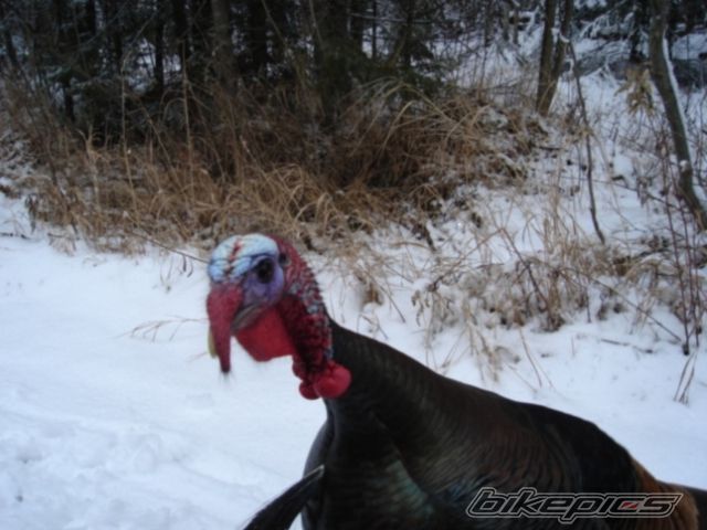 Photo 1147522