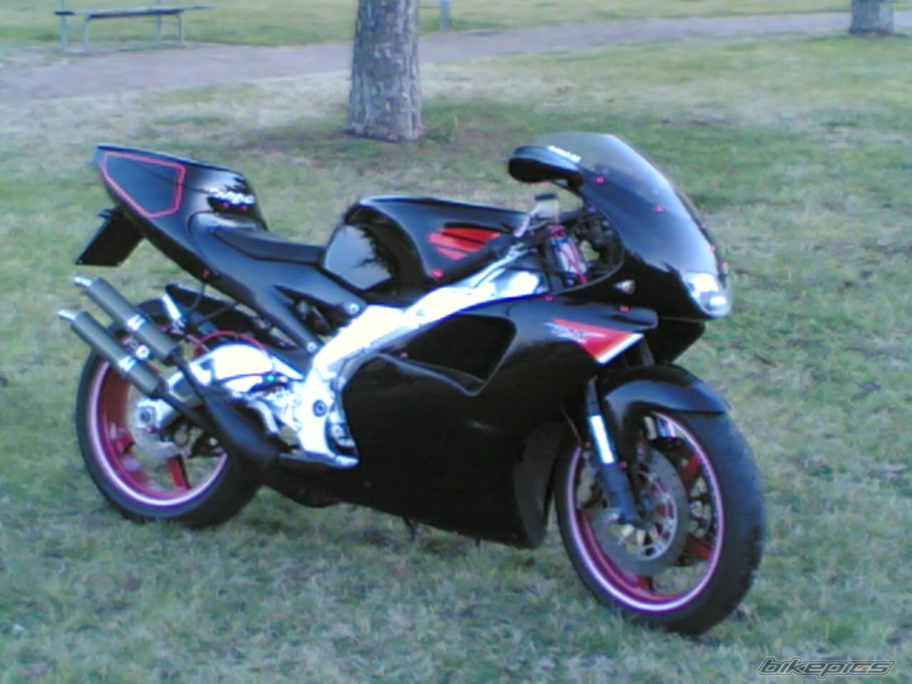 Bike Photo 1147526