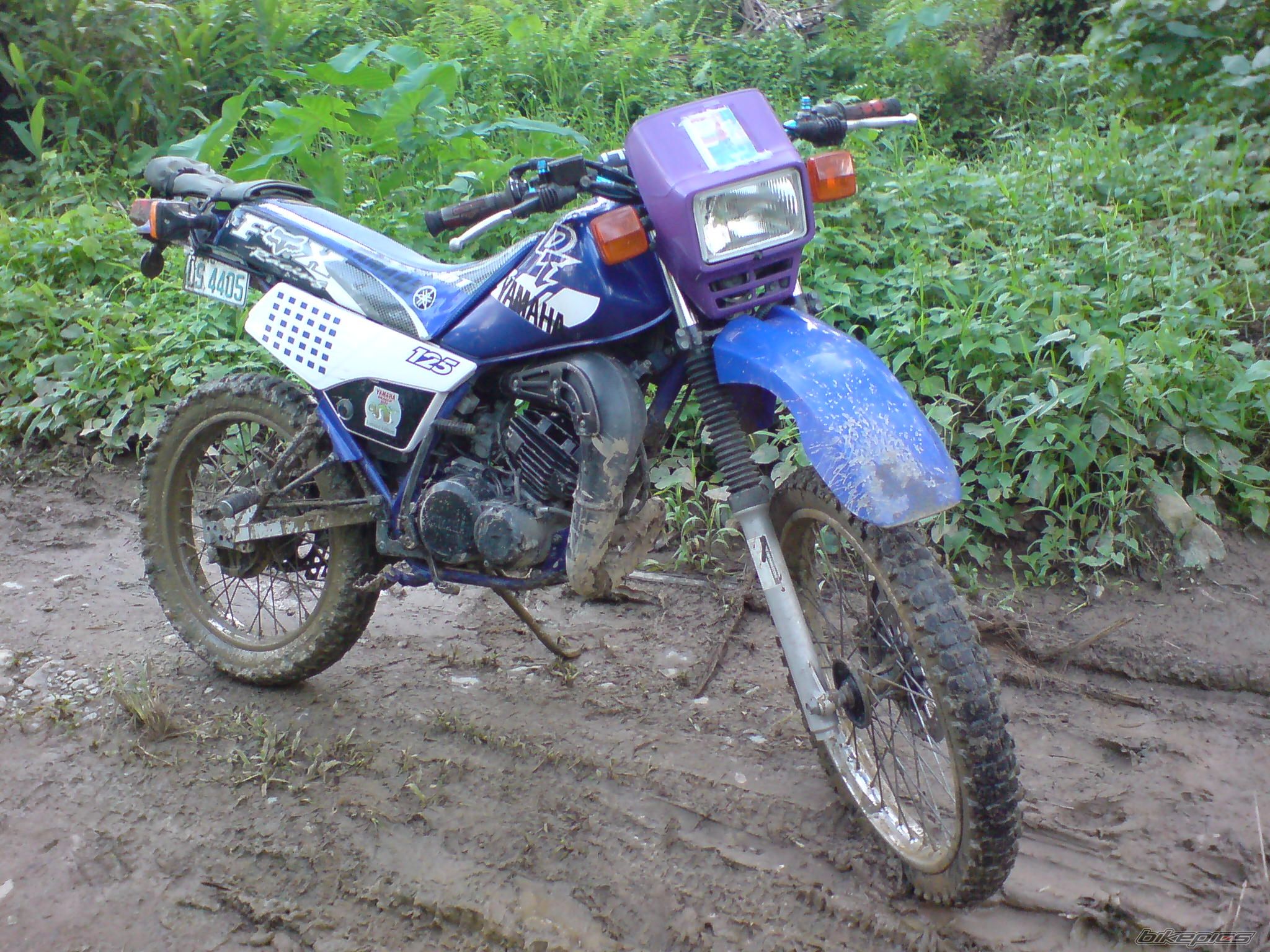 Photo 1147545