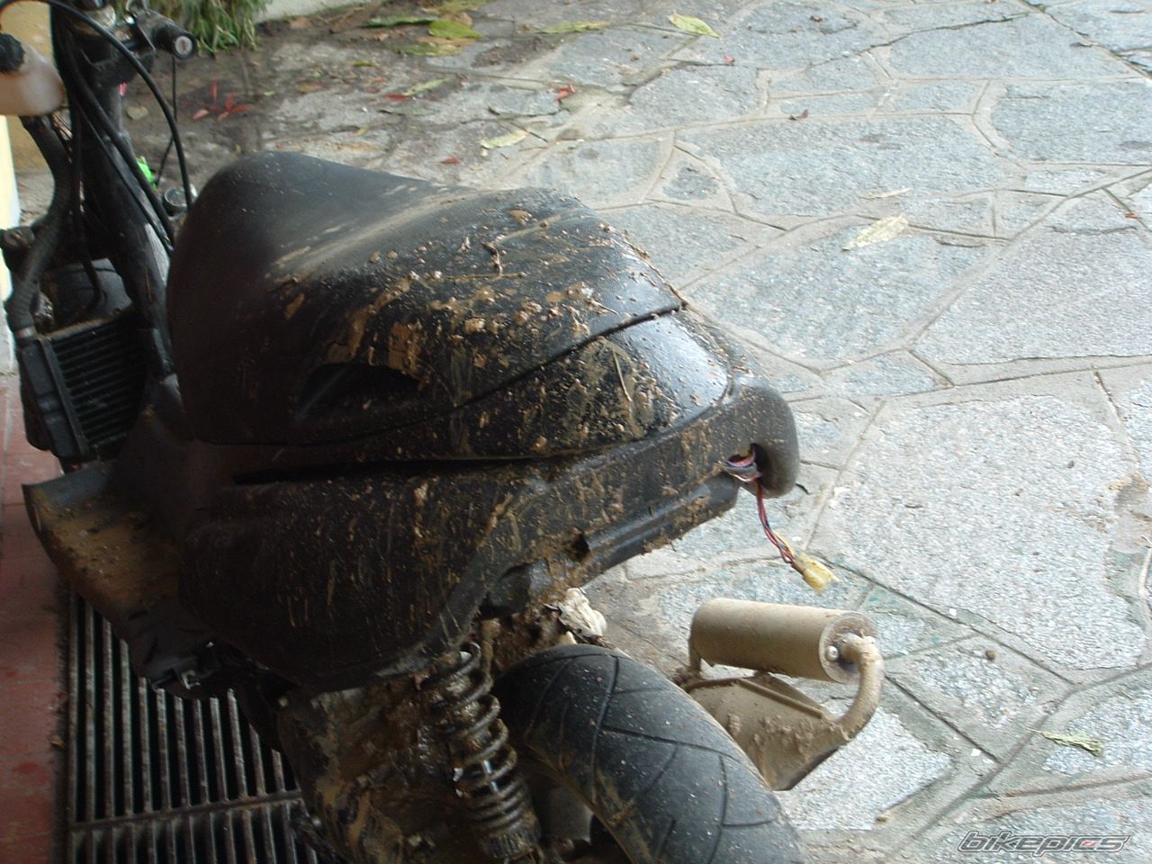 Photo 1147602
