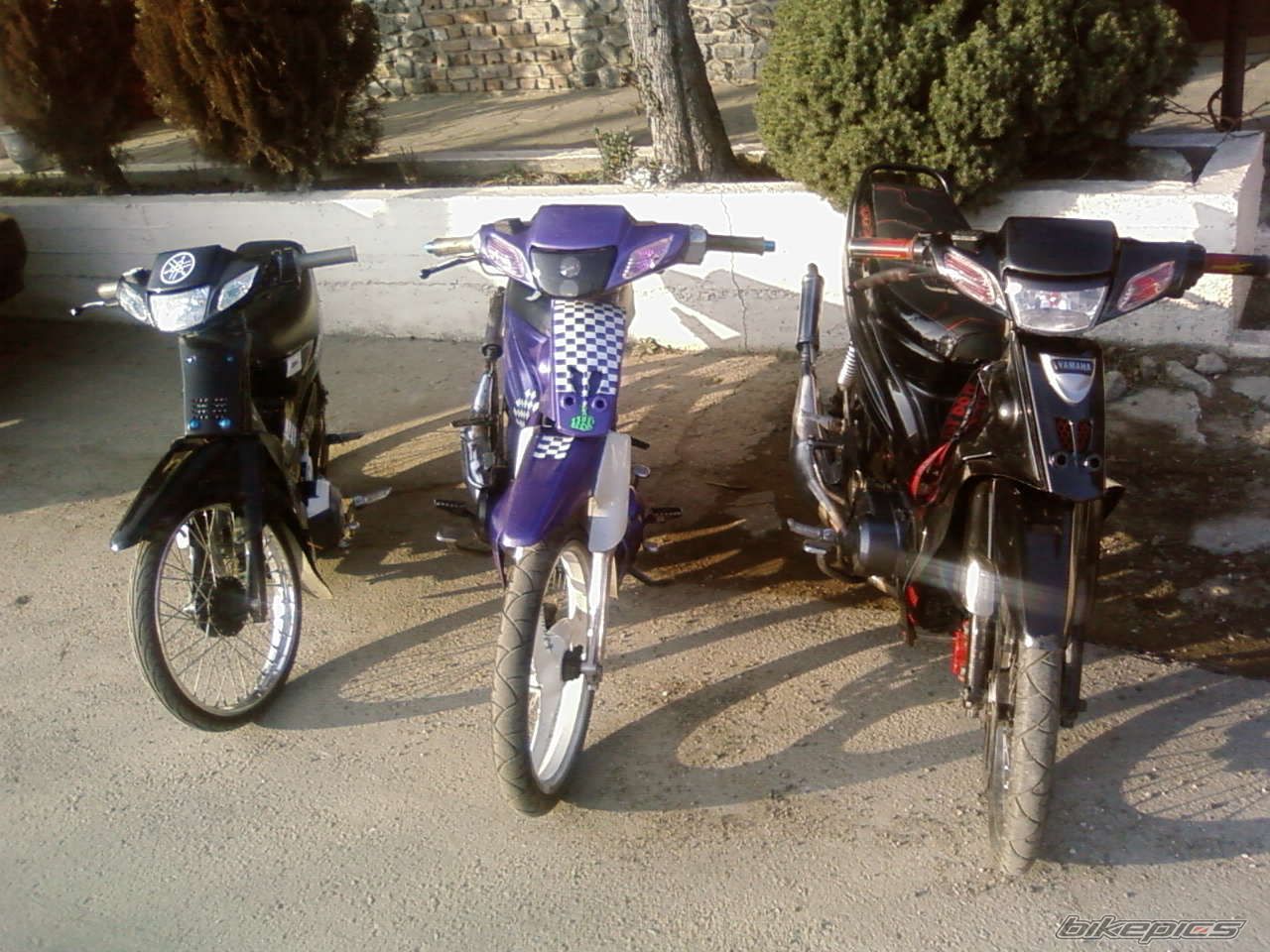 Photo 1147698