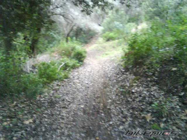 Photo 1147761