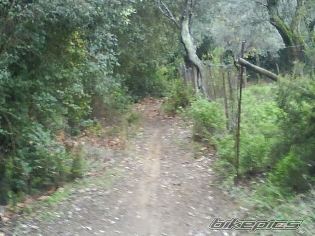 Photo 1147762