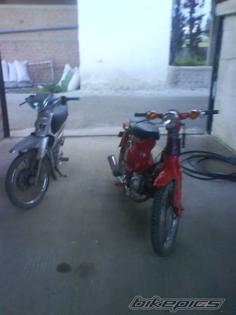 Photo 1147833
